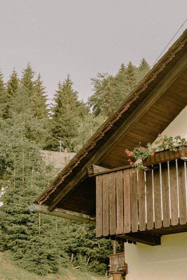 Villa Almhaus Kochjosel Garanas Exterior foto